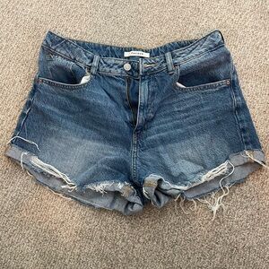 Pacsun Shorts